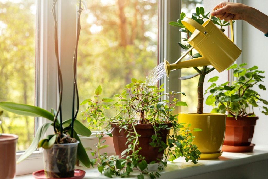 Central Air provides indoor air quality products for Lake Oswego, Happy Valley and West Linn. Schedule an IAQ audit of your home today!